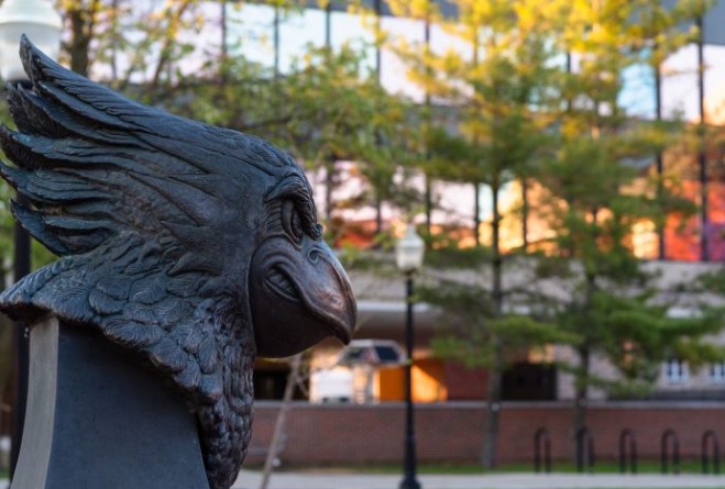 Shadowed silhouette of battle bird near DeGarmo hall
