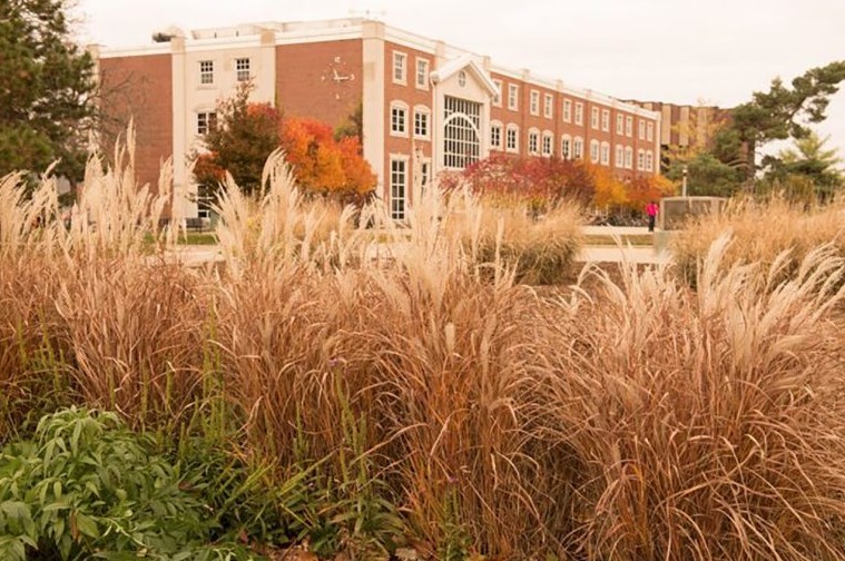 Fall foliage in foreground of Schroeder Hall picture on campus