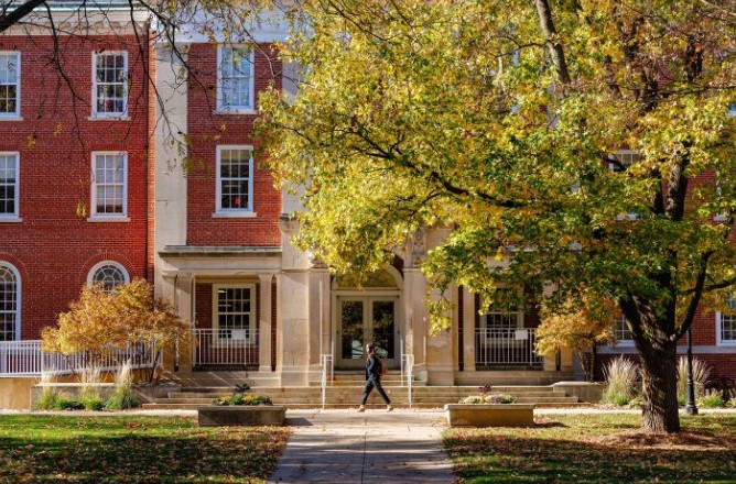 Fall leaves and trees on the quad with a view of Fell Hall
