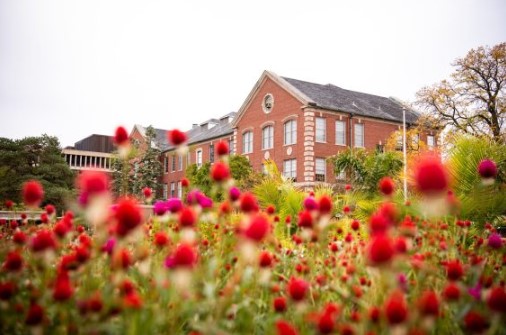 Felmley through the flowers