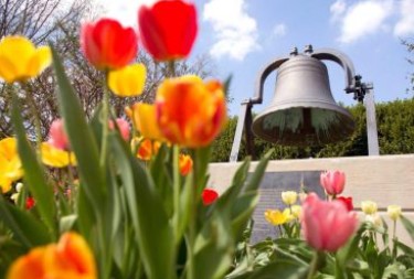 Flowers in foreground, Old Main bell in background